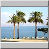 En Gedi, palms and Dead Sea.jpg
